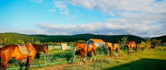 Конно-туристическая база «Ход конем»