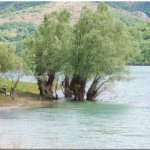 пляжи Аянского водохранилища