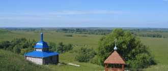 Починки, Нижегородская область, карта